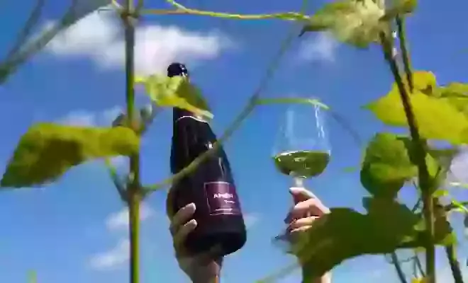 Ambriel (Redfold Vineyards LLP)